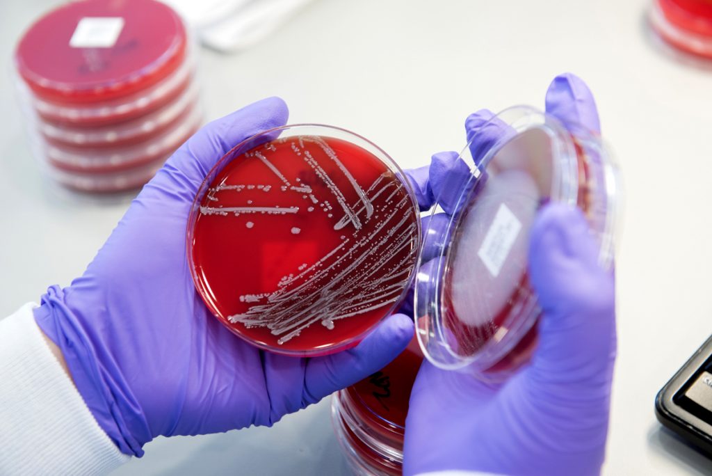 Micriobiology Department